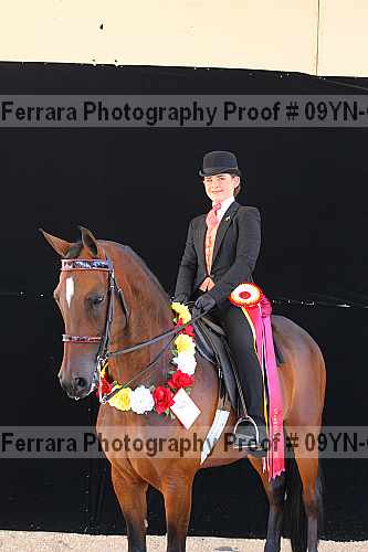 Proof 09yn-06860