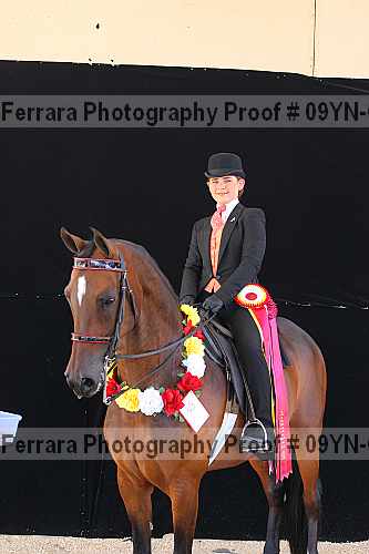 Proof 09yn-06861