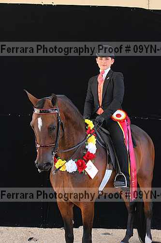 Proof 09yn-06864