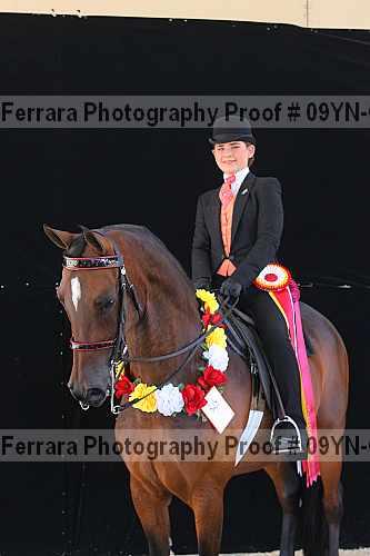 Proof 09yn-06865