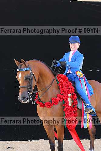 Proof 09yn-06879