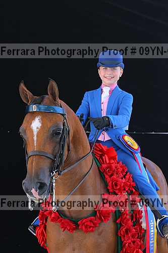 Proof 09yn-06883