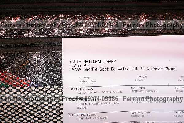 Proof 09yn-09386
