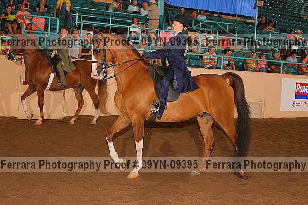 Proof 09yn-09395