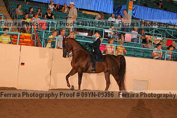 Proof 09yn-09396