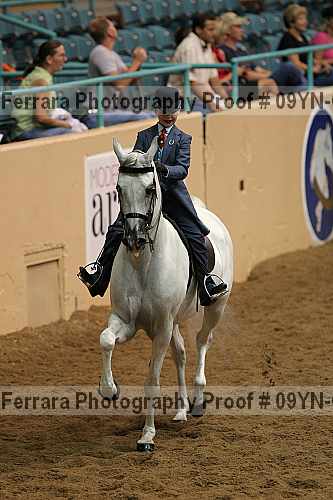 Proof 09yn-09412