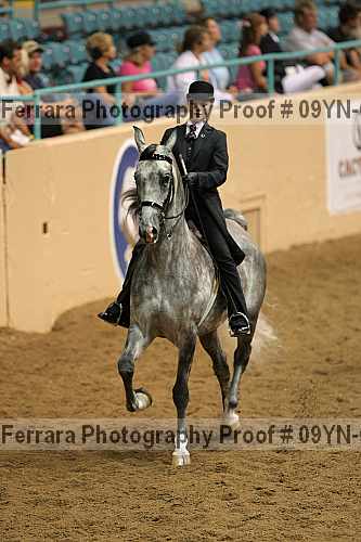 Proof 09yn-09431