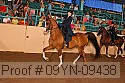 09yn-09438 proof