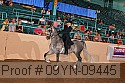 09yn-09445 proof