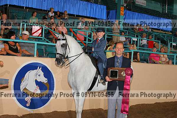 Proof 09yn-09455