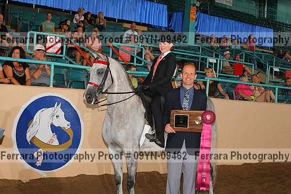 Proof 09yn-09462