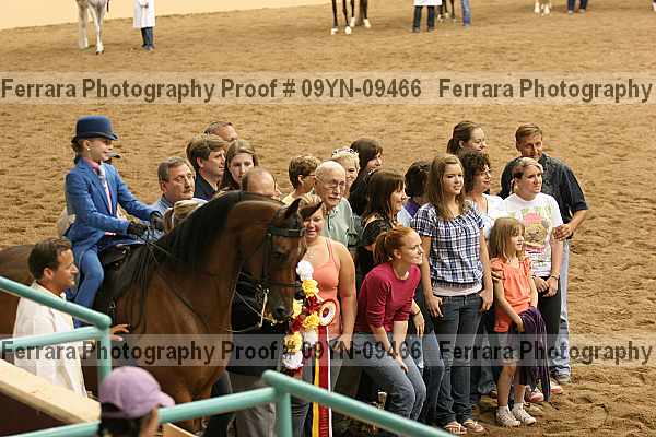 Proof 09yn-09466