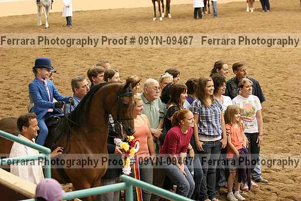 Proof 09yn-09467