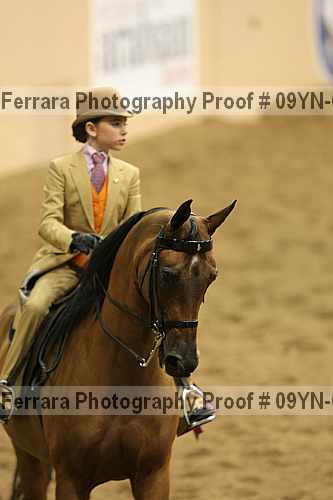 Proof 09yn-09491