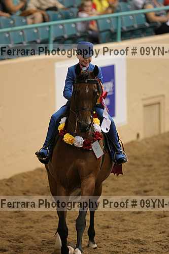 Proof 09yn-09508