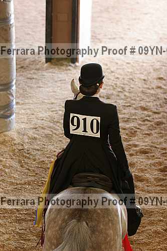 Proof 09yn-09511