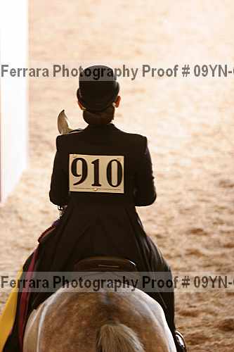 Proof 09yn-09513