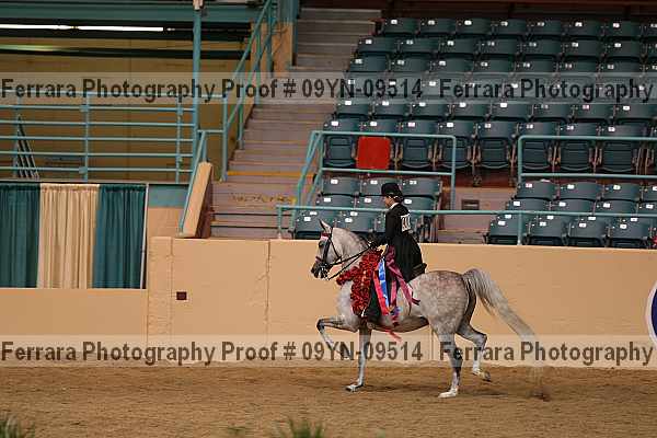 Proof 09yn-09514
