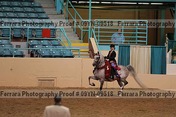 Proof 09yn-09518