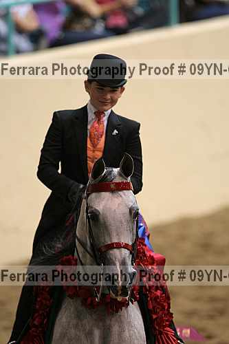 Proof 09yn-09529