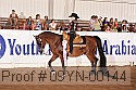 09yn-00144 proof