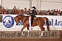 09yn-00145 proof