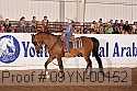 09yn-00152 proof