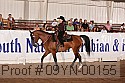 09yn-00155 proof