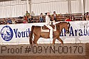 09yn-00170 proof