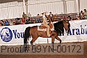 09yn-00172 proof