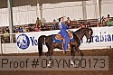 09yn-00173 proof