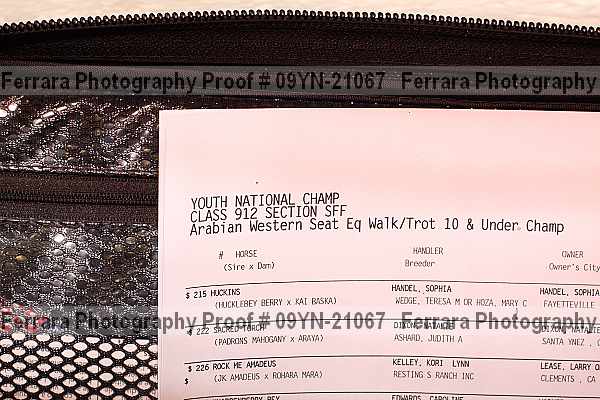 Proof 09yn-21067