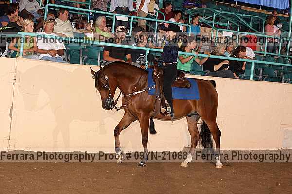 Proof 09yn-21068