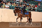 09yn-21068 proof