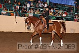 09yn-21069 proof