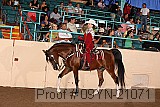 09yn-21071 proof