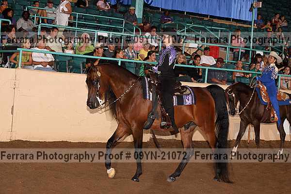 Proof 09yn-21072