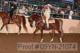 09yn-21074 proof
