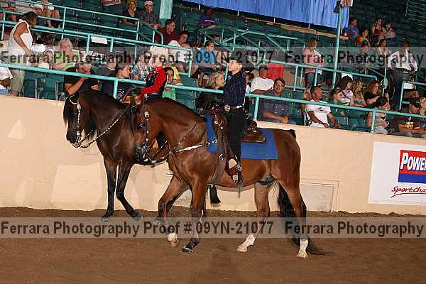 Proof 09yn-21077