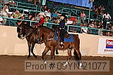 09yn-21077 proof