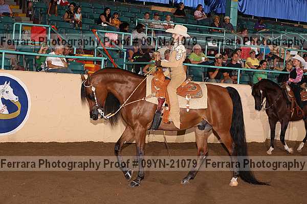 Proof 09yn-21079