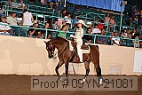 09yn-21081 proof