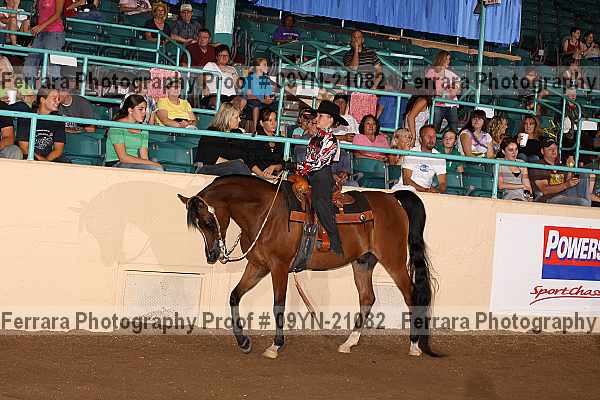 Proof 09yn-21082