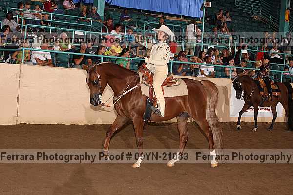 Proof 09yn-21083