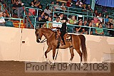 09yn-21086 proof