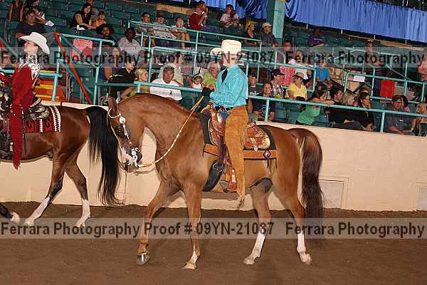 Proof 09yn-21087