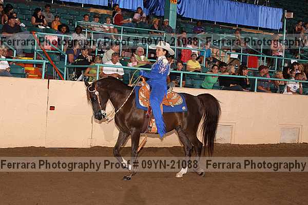 Proof 09yn-21088