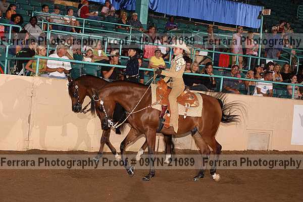 Proof 09yn-21089
