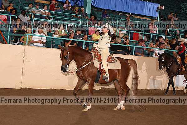 Proof 09yn-21091