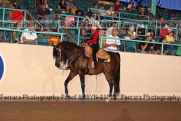 Proof 09yn-21092